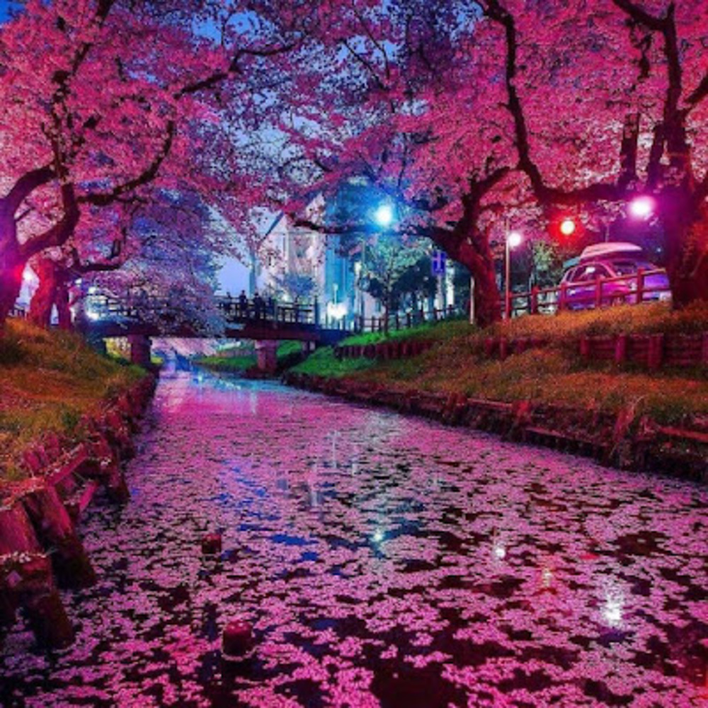 Meet your Posher, Masatomas